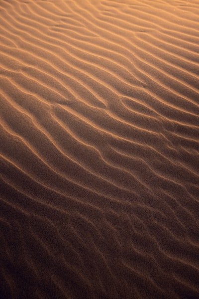 白天有水的棕色沙子